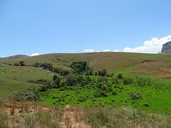 DSC01763