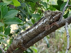 DSC01793