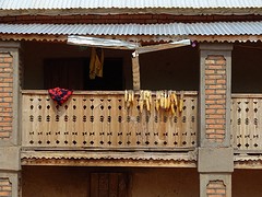 DSC01816