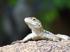 DSC01821