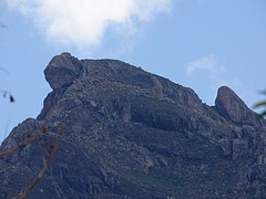 DSC01823