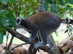 DSC01826