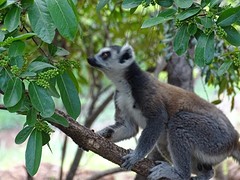 DSC01827