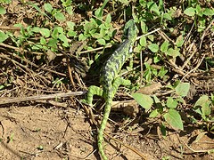 DSC01836