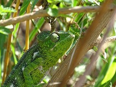 DSC01841