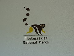 DSC01871