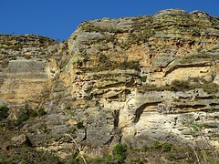 DSC01873