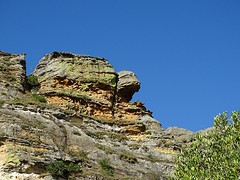 DSC01876