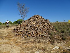 DSC01880