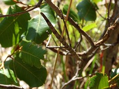 DSC01885