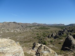 DSC01903