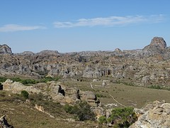 DSC01908