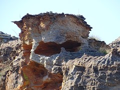 DSC01913