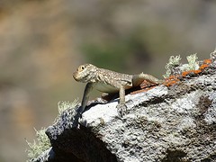 DSC01920