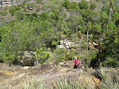 DSC01926