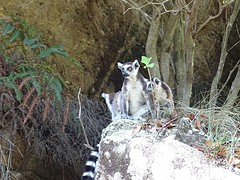 DSC01940