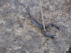 DSC01951