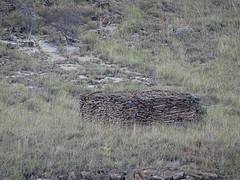 DSC01953