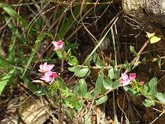 DSC01961