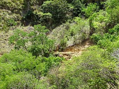 DSC01962