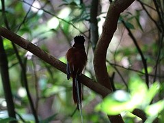 DSC01999