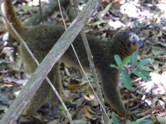 DSC02003