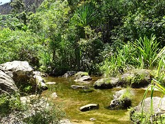 DSC02007