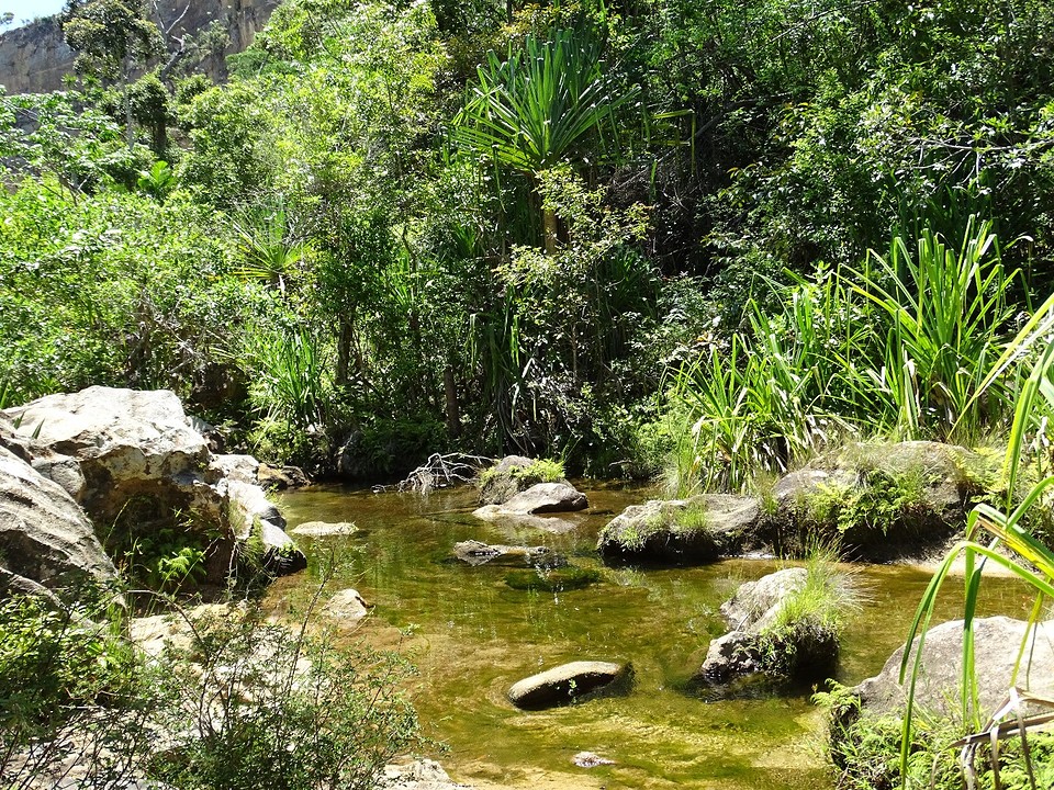 DSC02007