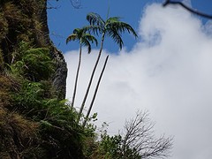 DSC02019