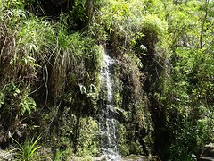 DSC02023