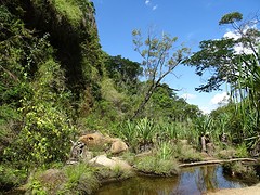 DSC02033