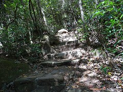 DSC02036