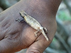 DSC02051