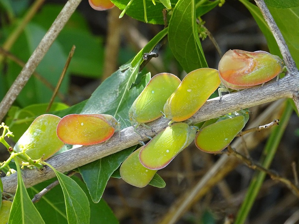 DSC02055