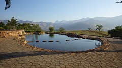 IMGP3373
