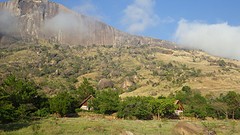 IMGP3375