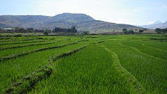 IMGP3389