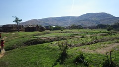 IMGP3390