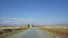 IMGP3391