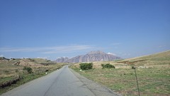 IMGP3392