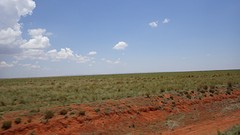 IMGP3394