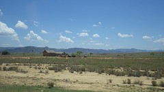 IMGP3398