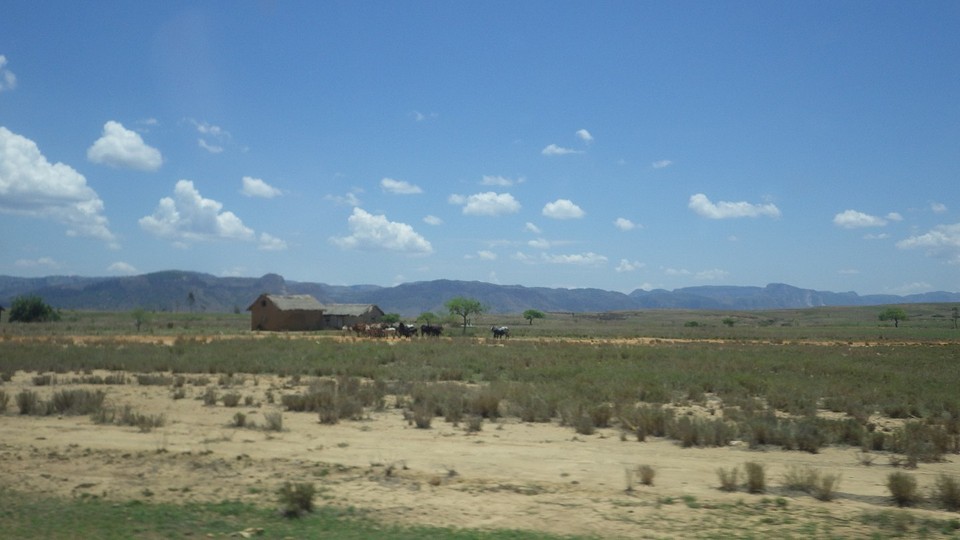 IMGP3398