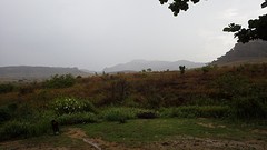 IMGP3409