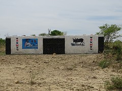 DSC02066