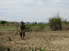 DSC02070