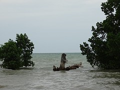 DSC02078