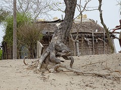DSC02080