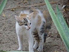 DSC02099