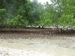 DSC02103
